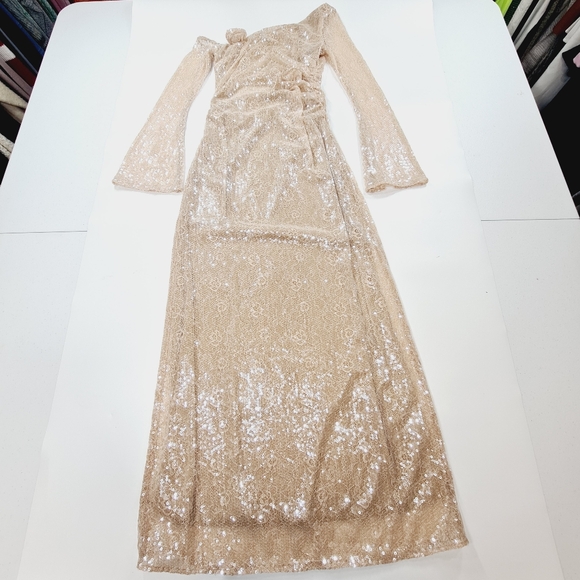 LPA Aniella Gown in Champagne - Picture 2 of 14